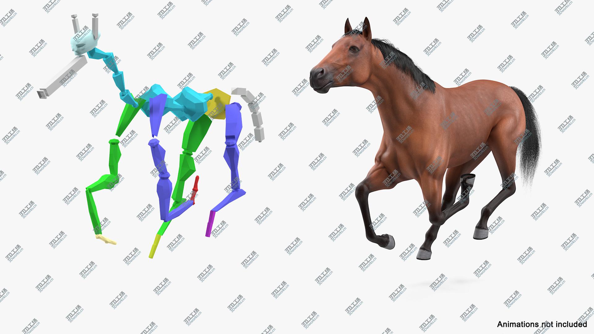 images/goods_img/20210319/Bay Horse Fur Rigged 3D model/4.jpg